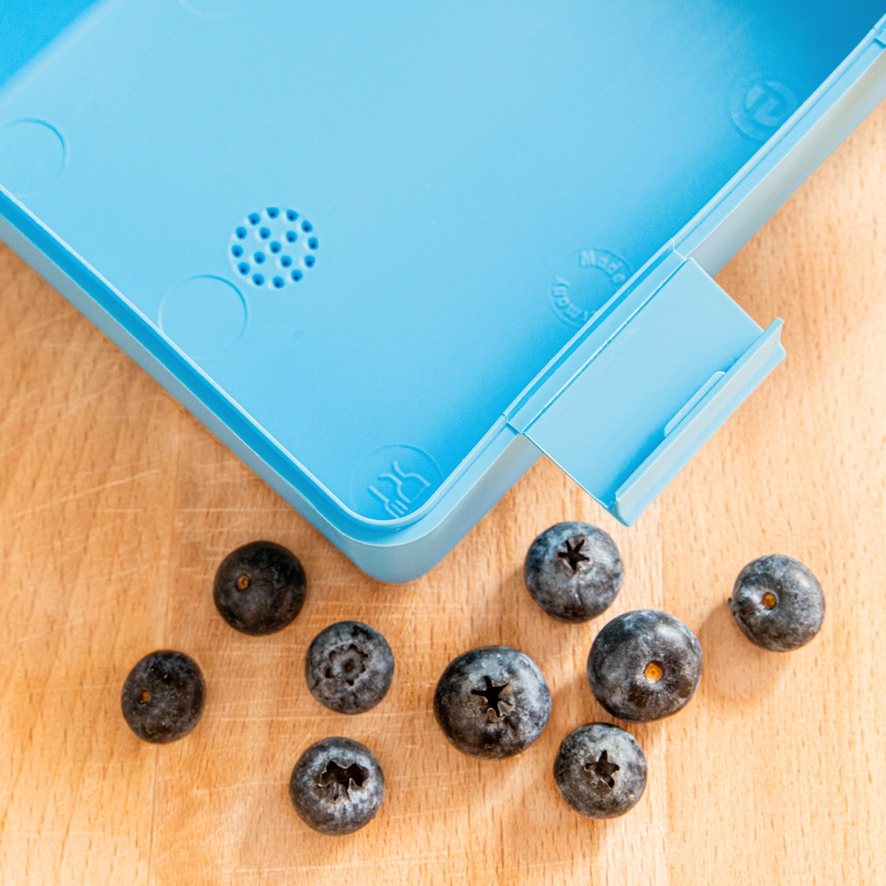 Brotdose VTC - Saphirblau