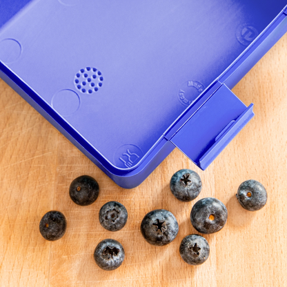 Brotdose VTC - Royalblau